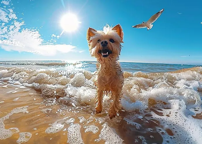 Daniel Superior - Center - 250m From The Train Station Tropea